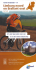 Carte ANWB n°19 Limbourg nord, Brabant est Les Pays Bas à vélo
